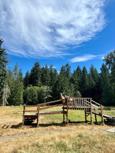 A Little Slice of Heaven • Barn Stars Animal Rescue