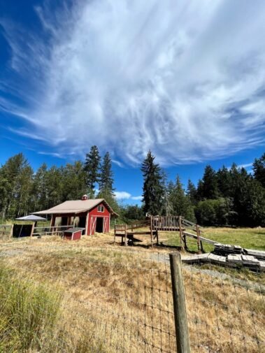 Cirrus Clouds Overlook the Farm • Barn Stars Animal Rescue