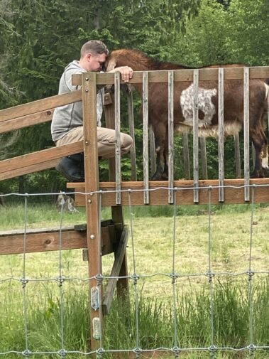 Dain and Theodore, His Brother from Another Mother • Barn Stars Animal Rescue