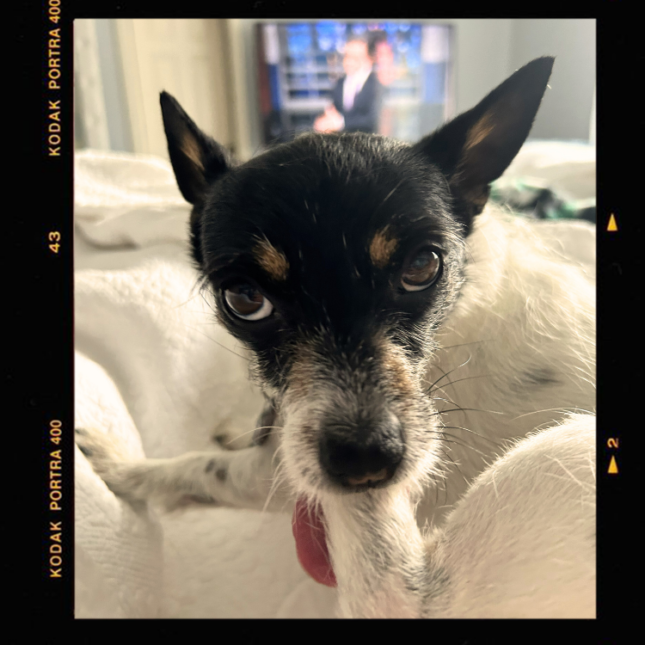 Hazel, Head of Farm Security