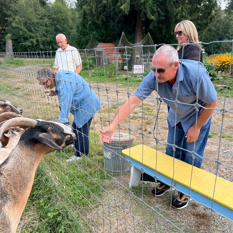 Rock the Barn • September 6, 2025