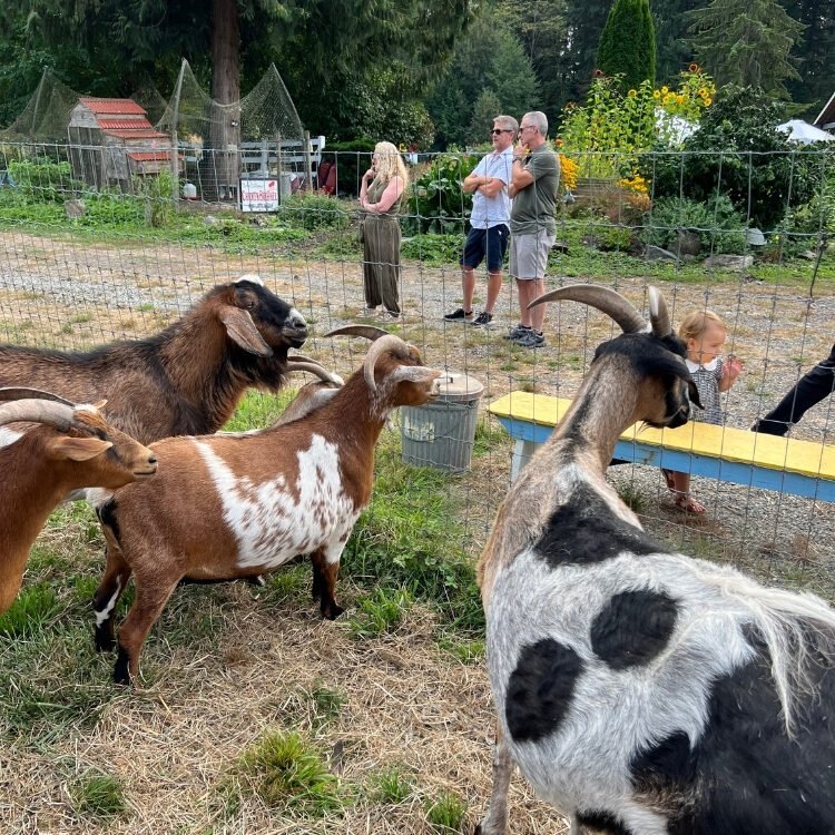 Rock the Barn • September 6, 2025