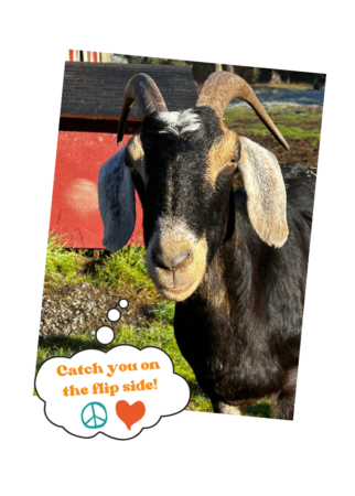 Ichabod crossed the Rainbow Bridge